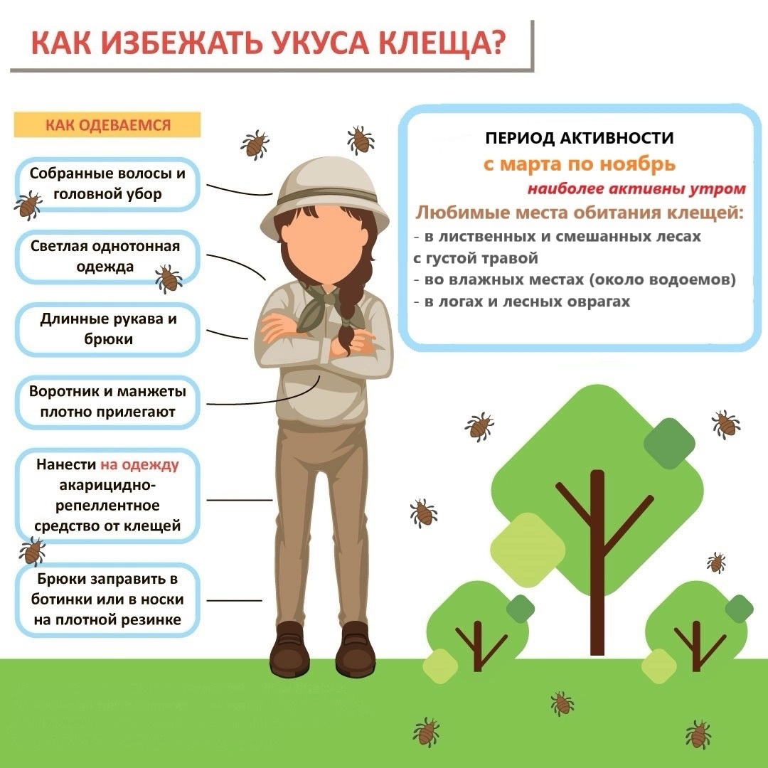 Как защитить себя от укуса клеща?.