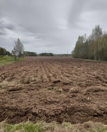 По поручению главы региона Георгия Филимонова во всех муниципальных образованиях идет интенсивная работа по привлечению неиспользуемых земель для сельскохозяйственных целей..