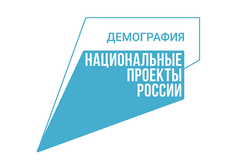 На Вологодчине семьи с детьми получают меры поддержки в рамках региональной программы.