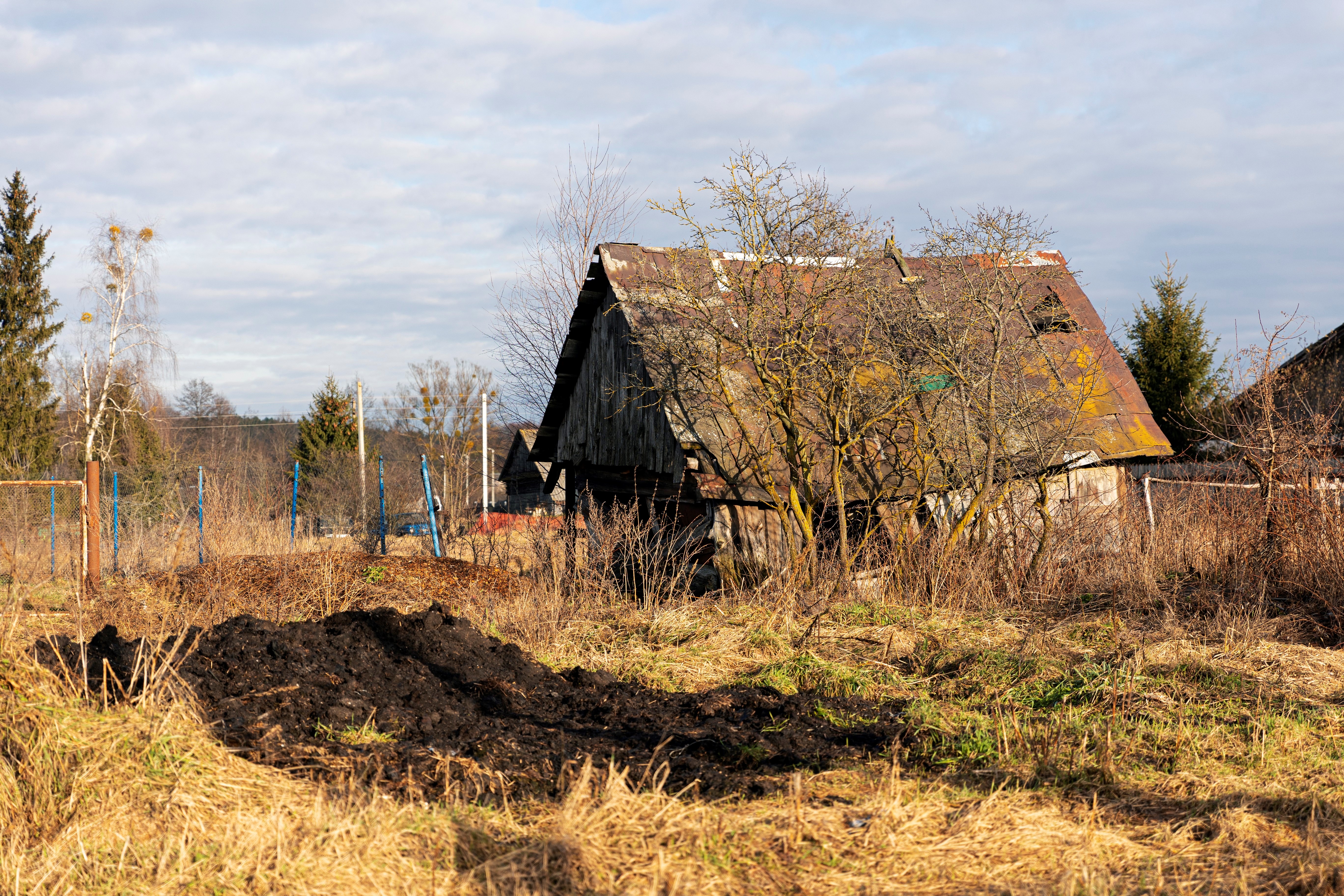 В Вологодском Росреестре рассказали какие земельные участки считаются заброшенными.