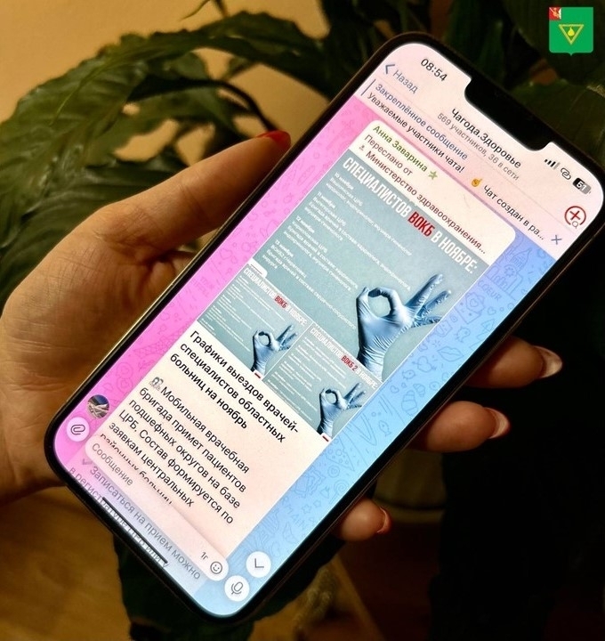 В Вологодской области действуют «ЗдравЧаты», где можно решить вопросы по работе медучреждений: каждое обращение рассматривается в ручном режиме.