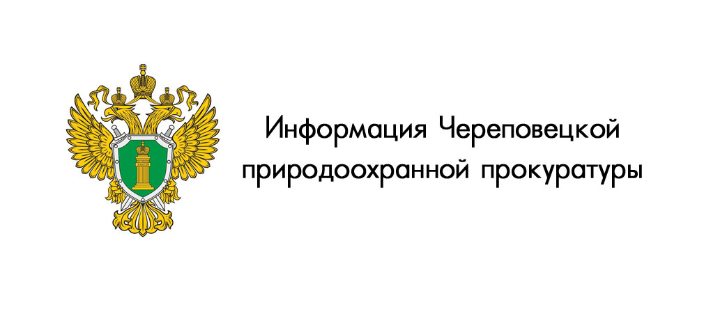 Череповецкой межрайонной природоохранной прокуратурой в течение 2023 года проведены проверки организации накопления и вывоза отходов на территории дачных кооперативов Череповецкого района Вологодской области..