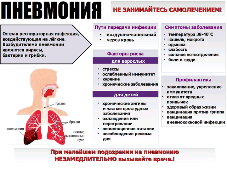 12 ноября – Всемирный день борьбы с пневмонией. 12 ноября – Всемирный день борьбы с пневмонией.