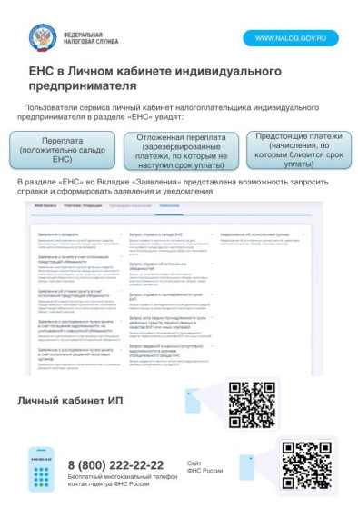 ЕНС в Личном кабинете индивидуального предпринимателя.. ЕНС в Личном кабинете индивидуального предпринимателя..