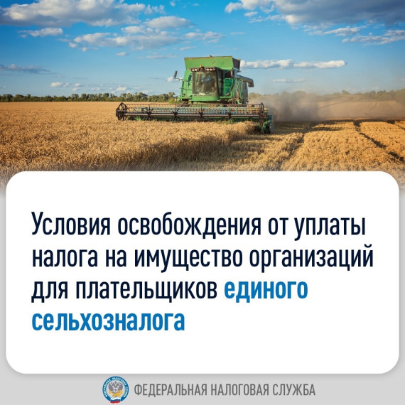 Плательщики единого сельскохозяйственного налога (ЕСХН) освобождены от обязанности по уплате налога на имущество организаций.. Плательщики единого сельскохозяйственного налога (ЕСХН) освобождены от обязанности по уплате налога на имущество организаций..