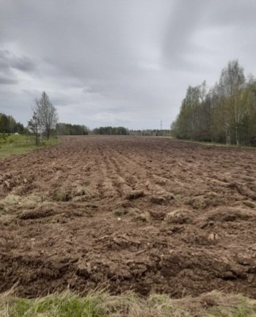 По поручению главы региона Георгия Филимонова во всех муниципальных образованиях идет интенсивная работа по привлечению неиспользуемых земель для сельскохозяйственных целей.. По поручению главы региона Георгия Филимонова во всех муниципальных образованиях идет интенсивная работа по привлечению неиспользуемых земель для сельскохозяйственных целей..