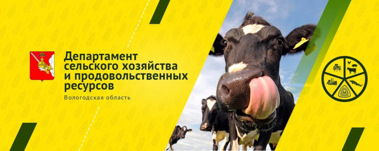 О маркировке продукции. О маркировке продукции.