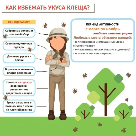 Как защитить себя от укуса клеща?. Как защитить себя от укуса клеща?.