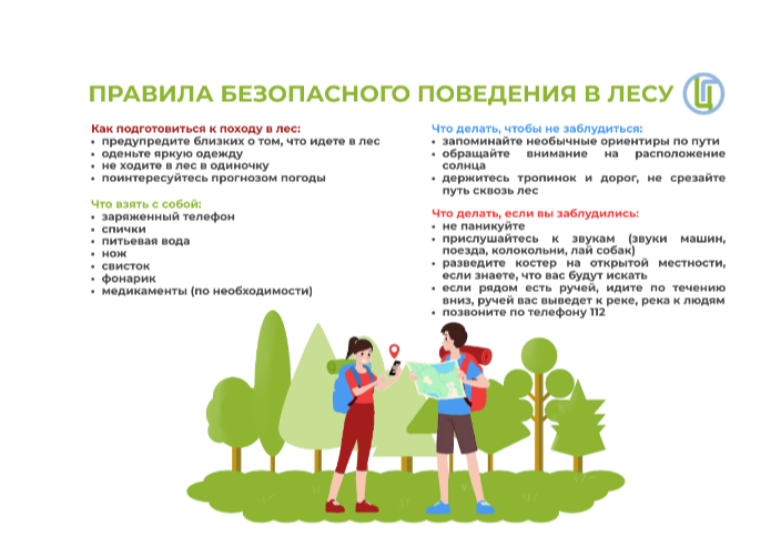 Безопасность в лесу. Безопасность в лесу.