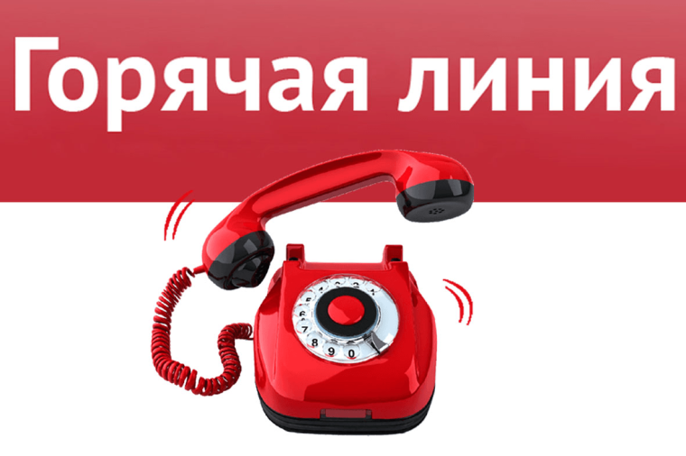 С 15 по 28 мая проводится горячая линия по вопросам профилактики клещевого энцефалита. С 15 по 28 мая проводится горячая линия по вопросам профилактики клещевого энцефалита.