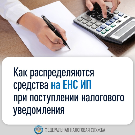 Как распределяются средства на ЕНС ИП при поступлении налогового уведомления. Как распределяются средства на ЕНС ИП при поступлении налогового уведомления.