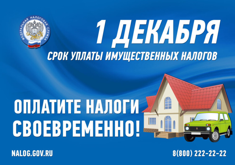 1 декабря срок уплаты имущественного налога. 1 декабря срок уплаты имущественного налога.
