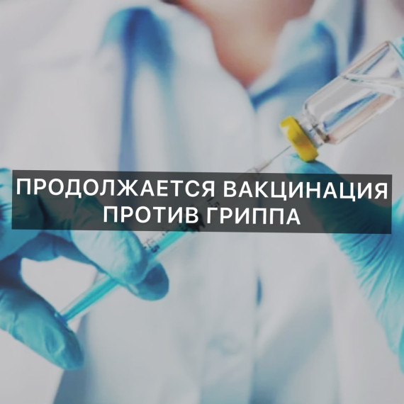 На Вологодчине полным ходом проходит прививочная кампания против гриппа.. На Вологодчине полным ходом проходит прививочная кампания против гриппа..